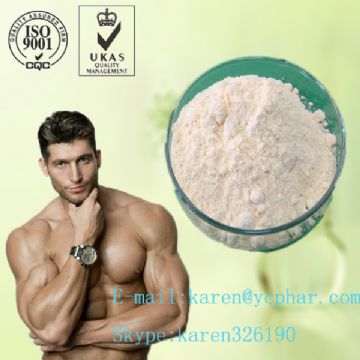 Testosterone Enanthate 